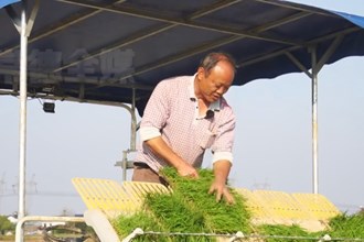 汉寿：春耕播种农事忙 智能农机成首选