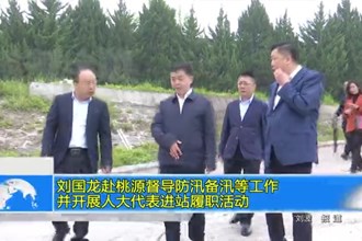 刘国龙赴桃源督导防汛备汛等工作并开展人大代表进站履职活动
