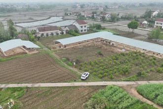 澧县：推进“文物保护+旅游” 古老文明绽放新光彩