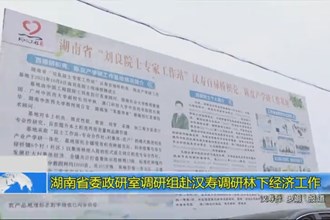 湖南省委政研室调研组赴汉寿调研林下经济工作