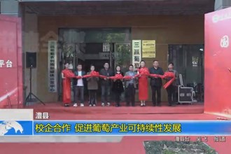 澧县：校企合作 促进葡萄产业可持续性发展