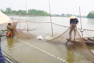 汉寿：生态鱼错峰上市 销路更广价更高