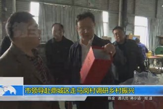 市领导赴鼎城区走马岗村调研乡村振兴