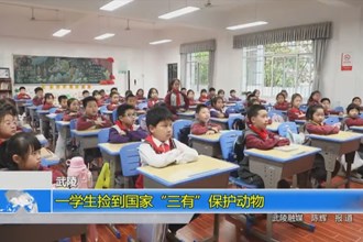 武陵：一学生捡到国家“三有”保护动物