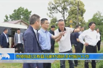 市领导赴汉寿县马家村调研乡村振兴工作