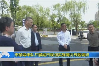 市领导率队开展城市规划实施情况专题调研
