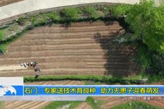 石门：专家送技术育良种 助力无患子迎春萌发