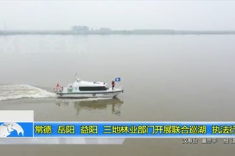常德、岳阳、益阳三地林业部门开展联合巡湖、执法行动