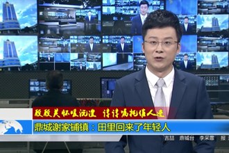 鼎城谢家铺镇：田里回来了年轻人