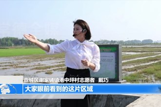 鼎城谢家铺镇：“本土”讲解员激发乡村新“活力”