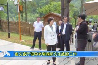 省文旅厅领导来常德调研我市文化旅游工作