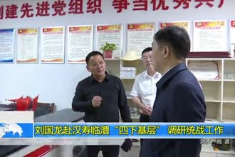 刘国龙赴汉寿临澧“四下基层” 调研统战工作