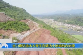 澧县：全力推进洈水太青生态清洁小流域综合治理
