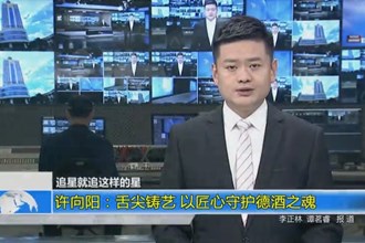 许向阳：舌尖铸艺 以匠心守护德酒之魂