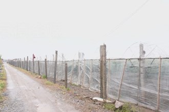 澧县官垸镇：发展特色产业 助推乡村振兴
