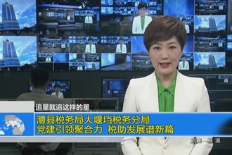 澧县税务局大堰垱税务分局：党建引领聚合力 税助发展谱新篇