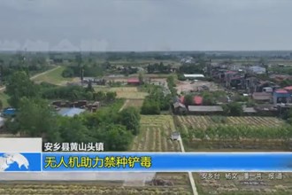 安乡县黄山头镇：无人机助力禁种铲毒