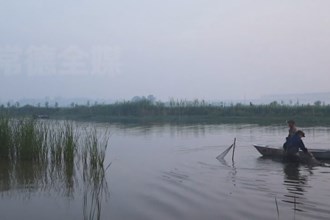 津市毛里湖镇：“稻虾田”里丰收忙