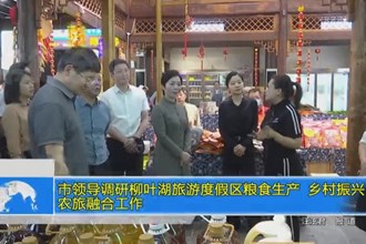 市领导调研柳叶湖旅游度假区粮食生产、乡村振兴、农旅融合工作