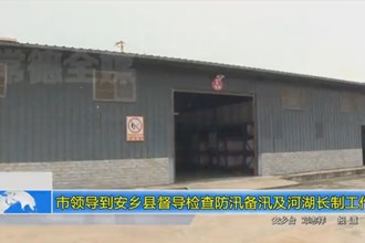 市领导到安乡县督导检查防汛备汛及河湖长制工作