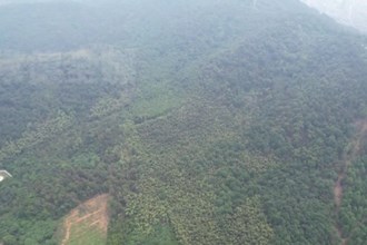 安乡县银湖茶业： 绿水青山情怀 茶厂涅槃重生