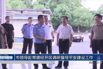 市领导赴经开区调研督导平安建设工作