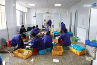 汉寿罐头嘴镇南赶村：甲鱼产业助农增收