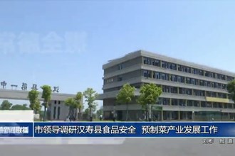 市领导调研汉寿县食品安全、预制菜产业发展工作