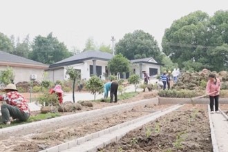 津市新洲镇：打造庭院经济“新样本”