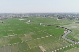 鼎城：水稻“入保” 种田无忧