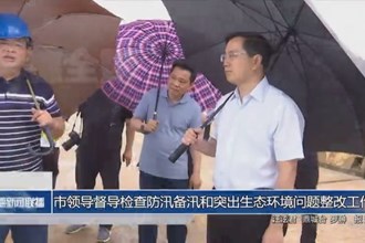 市领导督导检查防汛备汛和突出生态环境问题整改工作
