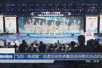 “520•来武陵”非遗文化传承暨促进消费月活动启动
