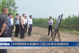 水利部到安乡视察长江四口水系水资源状况
