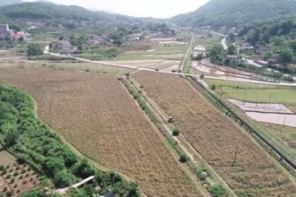 石门：油菜迎丰收 田间收割忙