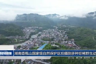 湖南壶瓶山国家级自然保护区拍摄到多种珍稀野生动物影像