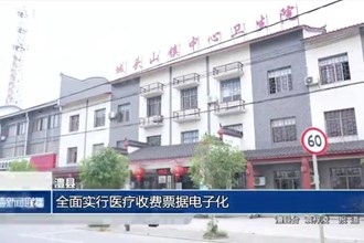 澧县：全面实行医疗收费票据电子化