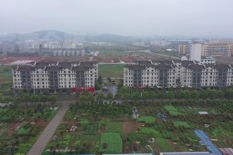 津市嘉山街道：办理群众“微”建议 增进民生“大”福祉