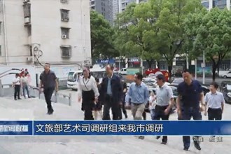 文旅部艺术司调研组来常德市调研