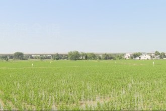 汉寿：推广二化螟诱捕器 护航早稻生长