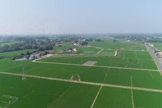 鼎城：智慧田管助力夏粮丰收