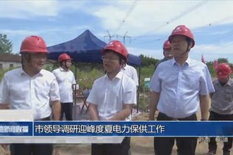 市领导调研迎峰度夏电力保供工作