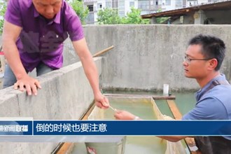 津市毛里湖镇：小鱼苗“游”出致富新航道
