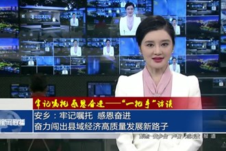 安乡县委书记王先波：牢记嘱托 感恩奋进 奋力闯出县域经济高质量发展新路子
