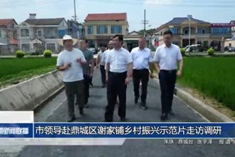 市领导赴鼎城区谢家铺乡村振兴示范片走访调研