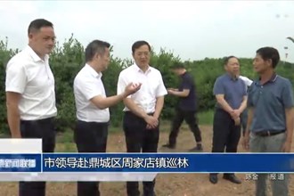 市领导赴鼎城区周家店镇开展巡林工作