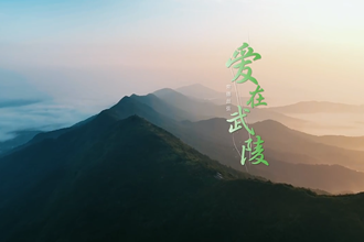 爱在武陵MV