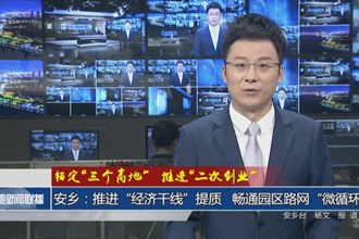 安乡：推进“经济干线”提质 畅通园区路网“微循环”