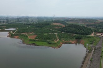 临澧：红色文旅支撑产业 太浮香桃打响品牌