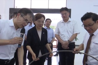 谢建辉来常德调研新能源产业暨绿色甲醇项目
