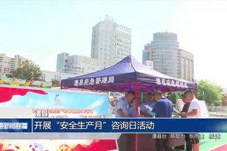 澧县：开展“安全生产月”咨询日活动